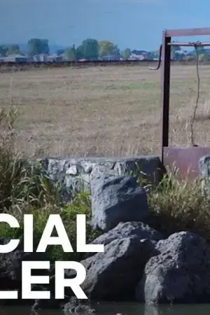 Chuyện Kể Về Người Giả