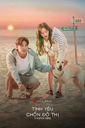 Tình Yêu Chốn Đô Thị Tình Yêu Chốn Đô Thị